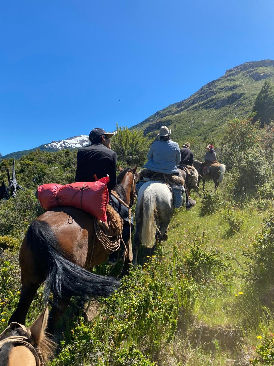 Cabalgatas en Verano