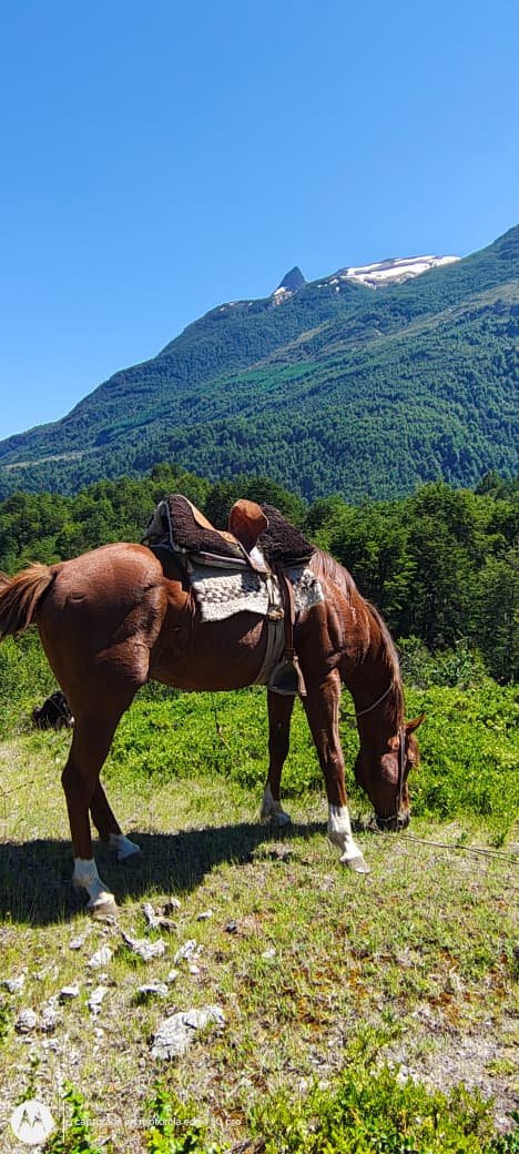 Cabalgatas Familiares