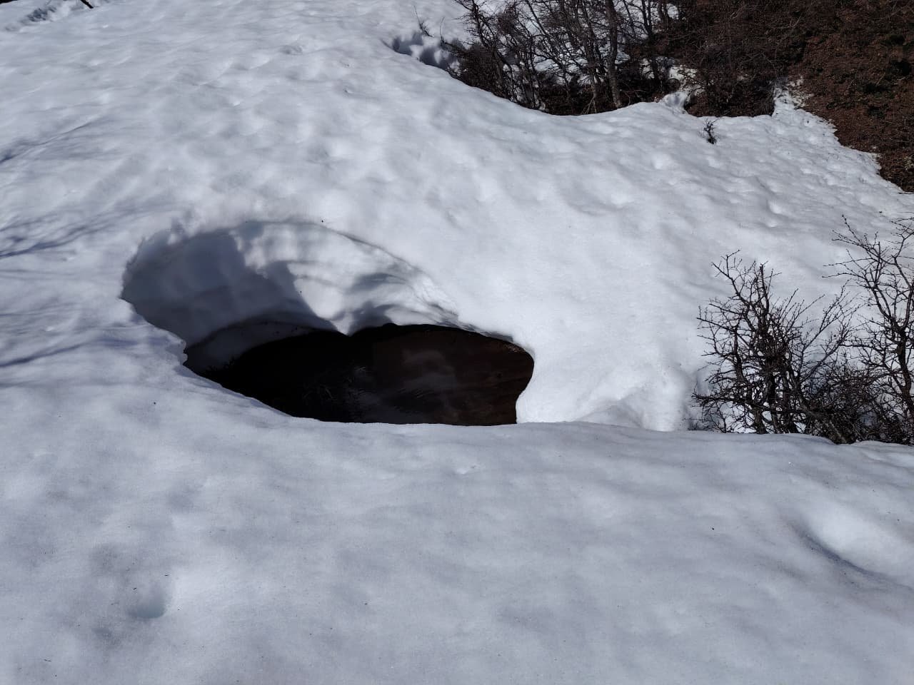 Patagonia en Invierno