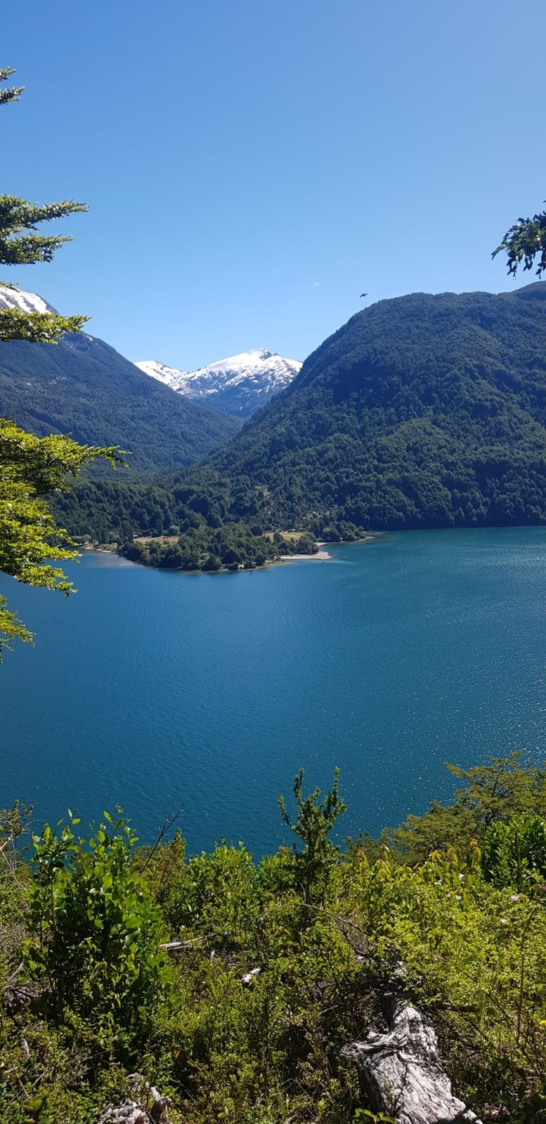Patagonia Lago
